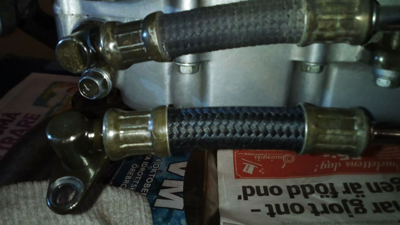 oil cooler hose.jpg