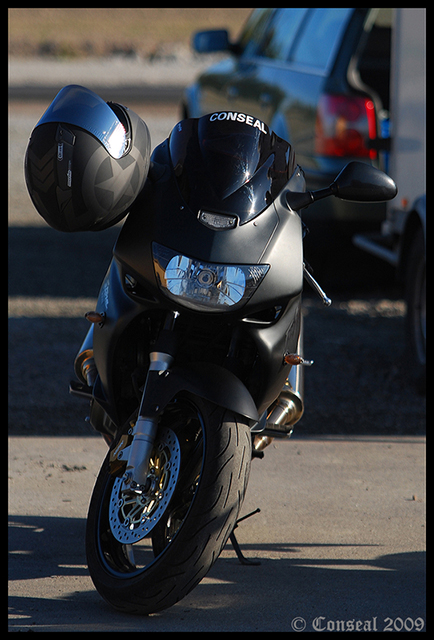DSC_6399a.jpg