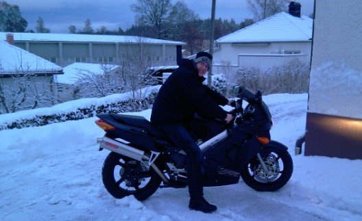 viffern i snöskrud.jpg