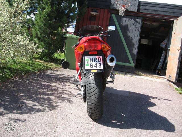 7557236755.jpg